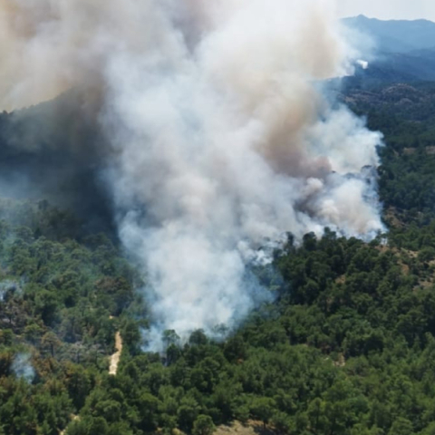Το δάσος της Δαδιάς καίγεται