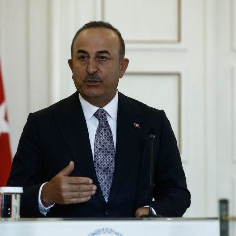 Μεβλούτ Τσαβούσογλου