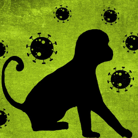 Ευλογιά των πιθήκων: Τι γνωρίζουμε σήμερα;