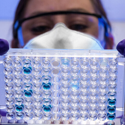 Ευλογιά των πιθήκων: δεδομένα από το Λονδίνο