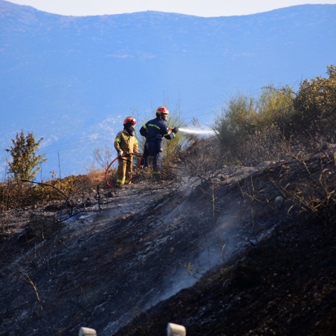 Πυροσβέστες με μάνικα επιχειρούν στην κατάσβεση πυρκαγιάς 