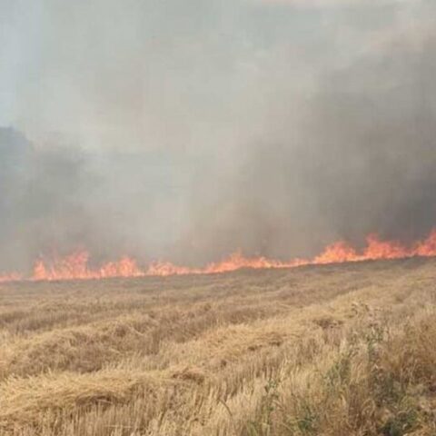 Φωτιά τώρα στο Σχίνο Μεσσηνίας