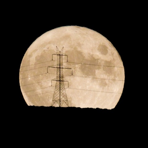 Πανσέληνος Αυγούστου ή Φεγγάρι του Οξύρρυγχου