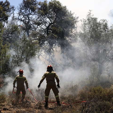 Πυροσβέστες επιχειρούν για την κατάσβεση φωτιάς