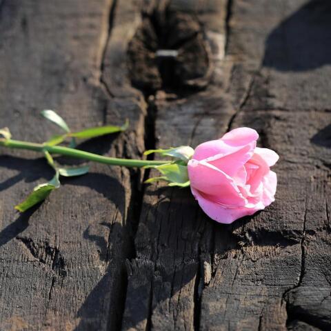 Αυτοκτονία 29χρονης στη Λαμία