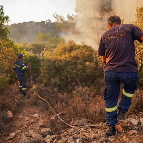 Κίνδυνος πυρκαγιάς - Πυροσβέστες επιχειρούν για την κατάσβεση