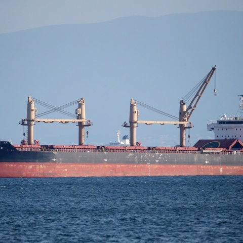 Πλοίο με σιτηρά από την Ουκρανία