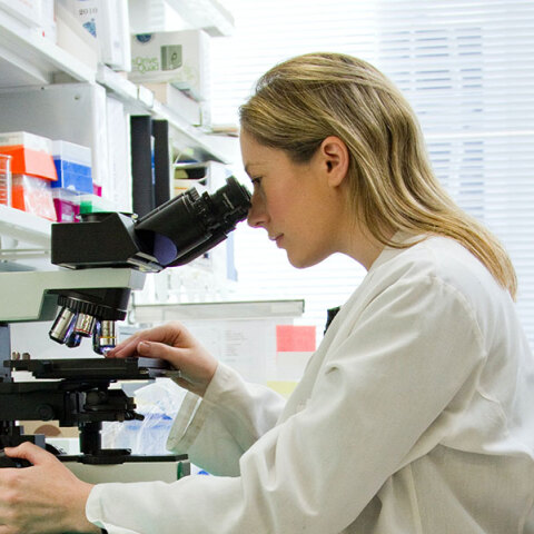 Το Tecovirimat ως θεραπεία για την ευλογιά των πιθήκων