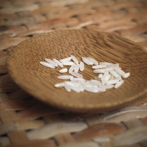 Πείνα - Άδειο πιάτο