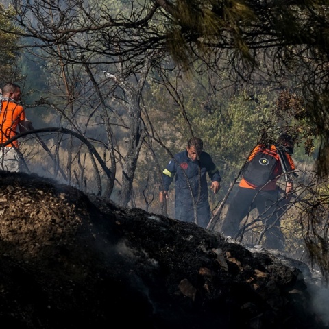 Φωτιά: Πυροσβέστες και εθελοντές σε πύρινο μέτωπο