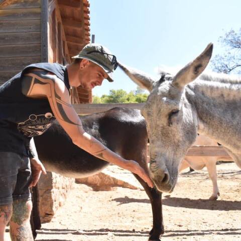Η φάρμα Βρούβα