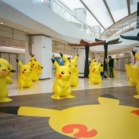 daniel-bernard-8wbqsybwn4u-unsplash