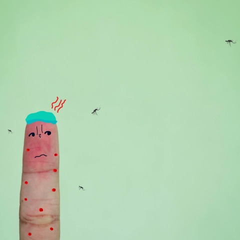 Τι δείχνουν έρευνες για τα κουνούπια και τα τσιμπήματα στους ανθρώπους - Η λύση για να μειώσετε τις οσφρητικές ενδείξεις που κάνουν τα κουνούπια να σας επιτίθενται