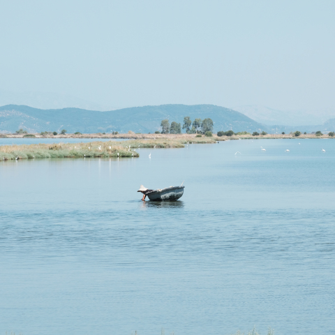 Η Λιμνοθάλασσα Μεσολογγίου στο νέο ambient video του Δημήτρη Κλεάνθη