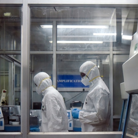 Ευλογιά των πιθήκων 