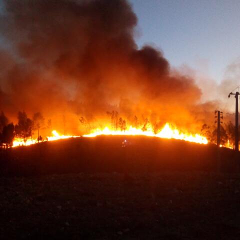 joao-alves-vpyypv0kpra-unsplash