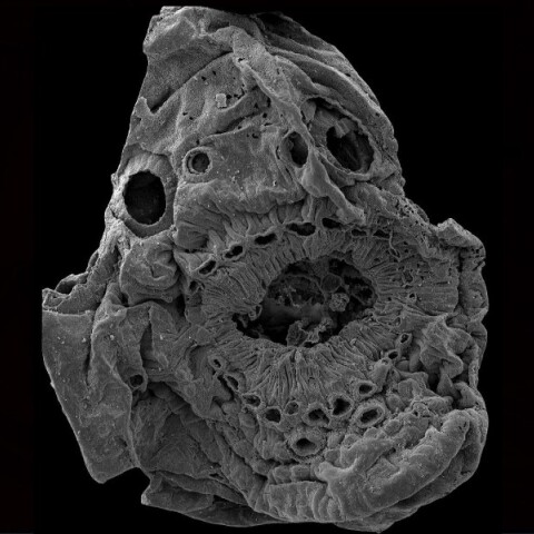 mystirio-epistimones