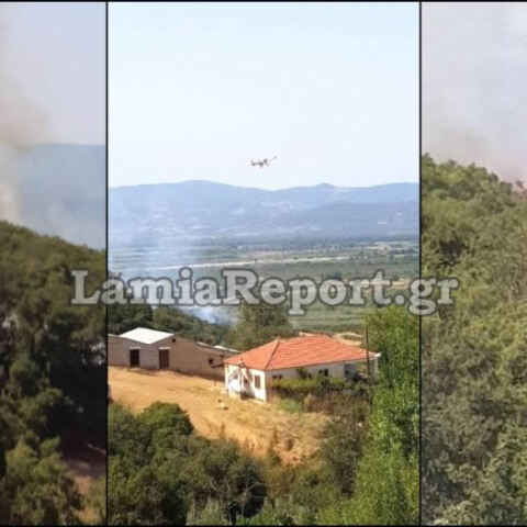 Φωτιά τώρα στη Φθιώτιδα