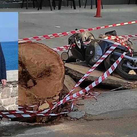 Ο 51χρονος οδηγός που σκοτώθηκε ακαριαία όταν τον καταπλάκωσε δέντρο στο Ηράκλειο Κρήτης- Δίπλα το δίκυκλο στον τόπο του δυστυχήματος