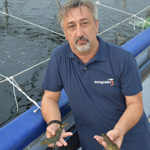 Ναπολέων Τσάνης