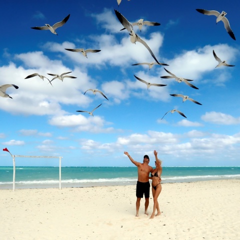Τουρίστες σε παραλία της Κούβας υψώνουν τα χέρια προς τους γλάρους που πετούν από πάνω τους
