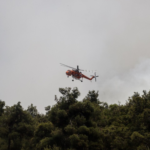 Πυρκαγιά ξέσπασε πριν από λίγο στη Θεσσαλονίκη, σε δασική έκταση στο Σέιχ Σου – Με επίγεια και εναέρια μέσα επιχειρεί η Πυροσβεστική. 