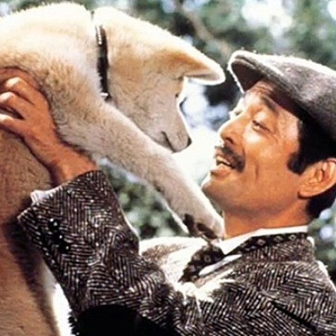 12 υπέροχα φιλμ γύρω από τις σχέσεις μεταξύ ανθρώπων και ζώων