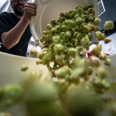 Σπατάλη φαγητού