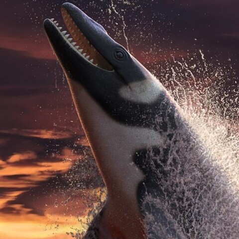 Thalassotitan Atrox © Andrey Atuchin