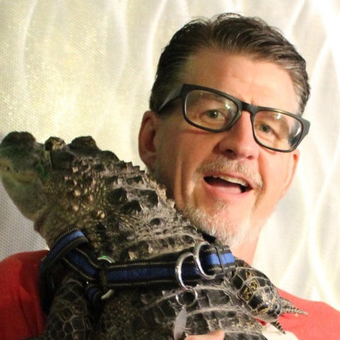 Ο αλιγάτορας Wally στην αγκαλιά άνδρα