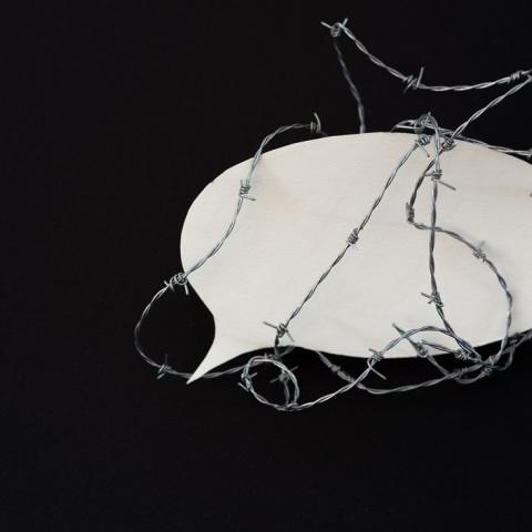 Η στοχοποίηση δημοσιογράφων και ΜΜΕ στην Ελλάδα και η δαιμονοποίηση της κριτικής και της σάτιρας. 