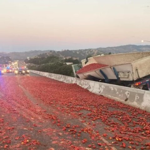 Ντομάτες στο οδόστρωμα αυτοκινητόδρομου στην Καλιφόρνια