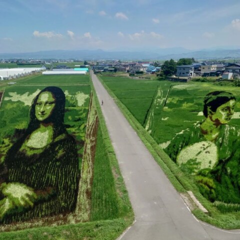 Η Mona Lisa σε χωράφι στην Ιαπωνία