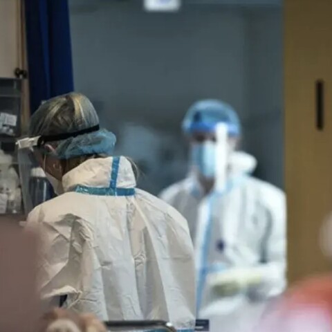 Ευλογιά των πιθήκων 