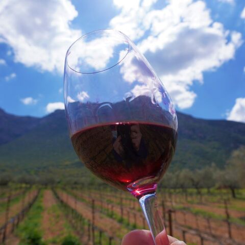 Μεγάλες Μέρες Νεμέας