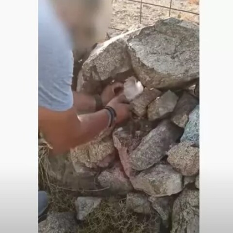 Σπείρα διακινούσε ναρκωτικά στη Μύκονο