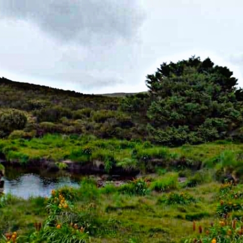 picsart_22-09-06_14-15-59-735