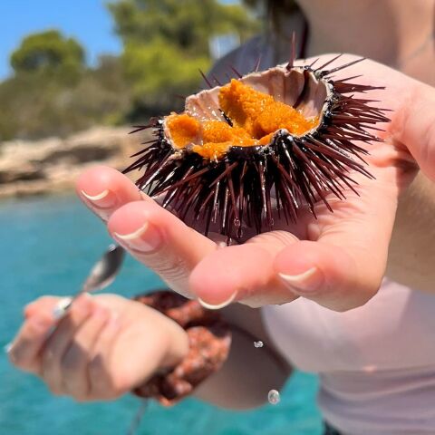 Τους πιο φρέσκους αχινούς, είναι γνωστό, τους πιάνεις μόνος σου. Με πολλές βουτιές μαζέψαμε αρκετούς και τους κάναμε μακαρονάδα. Μας πέτυχε!