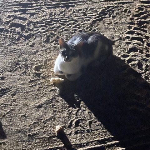 Ο Φώτης Γεωργελές μοιράζεται εικόνες, σκέψεις και παρατηρήσεις από τις καλοκαιρινές διακοπές.