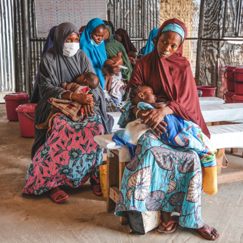 Υποσιτισμός στη Νιγηρία