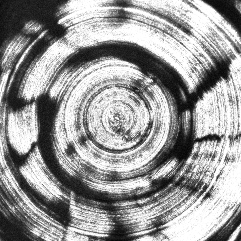 mail_profilepic_electric_nights