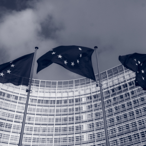 Σημαίες της Ευρωπαικής Ένωσης