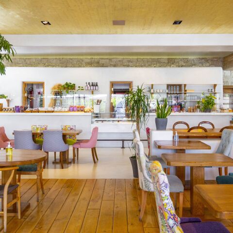 Εστιατόριο Γη