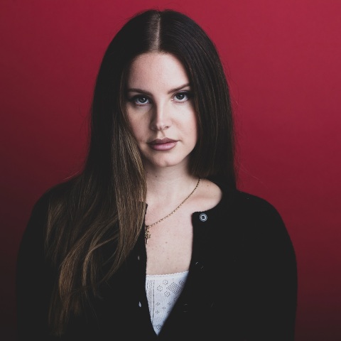 Lana Del Rey:  Εγκαινιάζεται μάθημα με τίτλο «Θέματα στην ηχογραφημένη μουσική: Lana Del Rey» στο Ινστιτούτο Κλάιβ Ντέιβις του Πανεπιστημίου της Νέας Υόρκης.