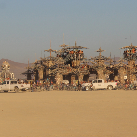 Paradisium by Dave Keane & Folly Builders