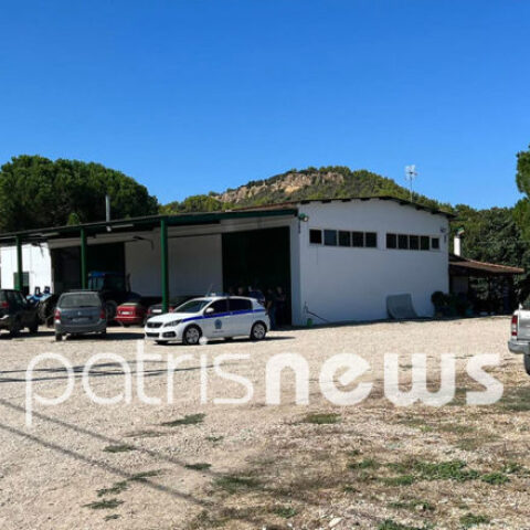 Δολοφονία στον Πύργο Ηλείας