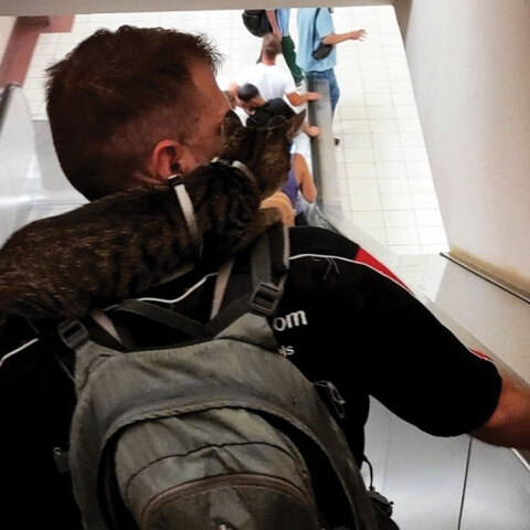 Άντρας με γάτα καθισμένη στον αυχένα του κατεβαίνει τις σκάλες του μετρό