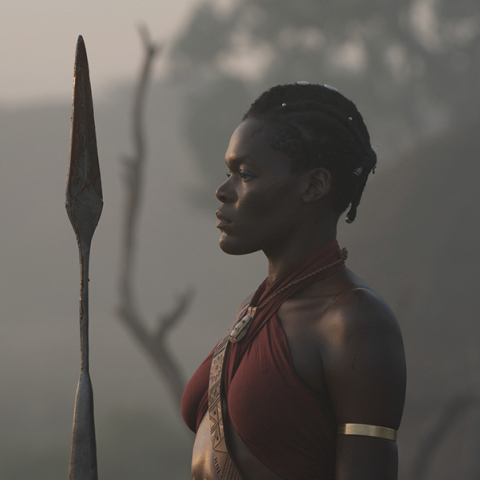 Η γυναίκα βασιλιάς (The Woman King)