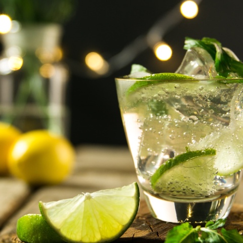 Ποτήρι με βότκα λεμόνι και διακόσμηση με λεμόνια