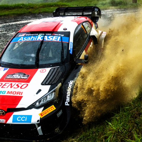 Ράλλυ Νέας Ζηλανδίας